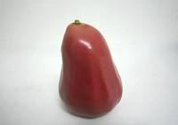 《食物模型》POLY 黑珍珠蓮霧 水果模型 - BP1057P
