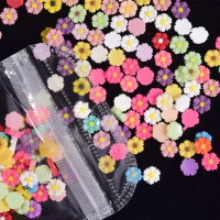 100pcs/bag Daisy Flower Nail Charms DIY Resin Floret Ornaments 3D Mixed Color For Nail Art Decoration Accessories Manicure Tip %