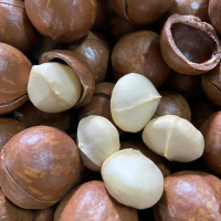 1kg Hạt Macca size Đại và Trung sấy chín ăn liền