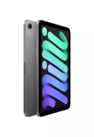 Apple iPad (第7代) 8.3" (2024) WiFi 256GB - 太空灰色 (平行進口)
