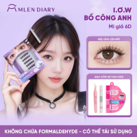 [Top bán chạy] MLEN DIARY Lông Mi Giả 6D IƠW   Mi Cụm Mềm Mại Và Keo 4in1 Tự Nhiên Dễ Sử Dụng
