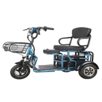 800W 48V Three-wheeled Electric Tricycle with Lithium Battery Vaccum Tire Max Load 200kg Range 70km Ebike for Elderly