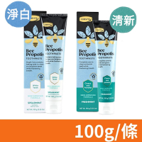 【COMVITA 康維他】天然蜂膠 淨白/清新 薄荷牙膏 100g/條