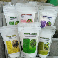 Pupuk booster buah durian klengkeng alpukat jambu srikaya stroberry anggur mangga