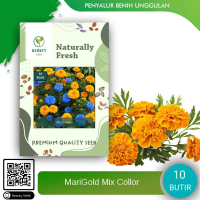Benih Biji Bunga Marigold Crakerjak - Benih Premium Marigold Crakerjack