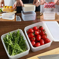 日本製NAKAYA瀝網保鮮盒｜密封保鮮盒蔥薑蒜保鮮盒瀝水保鮮盒蔬菜保鮮盒食品儲存盒