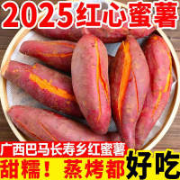 红心蜜薯新鲜红薯沙地糖心番薯西瓜红番薯香甜地瓜烤地瓜Red Heart Sweet Potato Fresh Sweet Potato Sugar Heart Sweet Potato Waterme