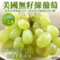 【WANG 蔬果】美國綠寶石麝香無籽葡萄(4盒_500g/盒)