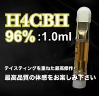 h4cbhの価格比較なら-2025年10月 | BigGo日本