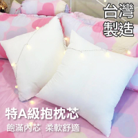 枕心 枕芯 抱枕 純白表布【1入】50x50cm(可適用45x45抱枕套) 台灣製造 柔軟舒適