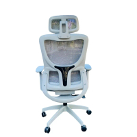 Ghế Công Thái Học LS918, Ghế công thái học ngả lưng bập bềnh, tay xoay nâng hạ trượt, kiểu dáng hiện