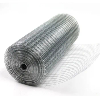 High quality 304 Stainless Steel 1/4 inch Welded Wire Fencing Mesh Chicken Rabbit Snake Cage Heavy Duty Welding Fencing