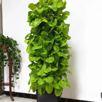 Indoor Hydroponics Growing Systems Kit, Aeroponic Tower, Home Garden, 7 Layers, 28 Plant Sites