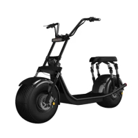 Adult Fat Tyre Electrical Scooter Balance Electric Scooter 18'' Tire Citycoco