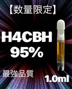 H4CBHリキッド25%1ml　H4CBH×CRDH h4cbhの価格比較なら-2025年10月 | BigGo日本