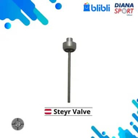Steyr Valve