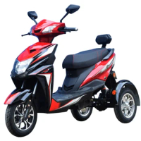 3 Wheel Electric motorcycle Tricycle 60V 1500W Mobility Scooter for salecustom