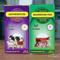 Bộ Đôi Trị Ho Gia Cầm Azi + Brome 100cc – Thuốc Thú Y Chuyên Dụng, Giảm Bệnh Hô Hấp, Kháng Khuẩn, Hỗ