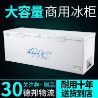 新品特惠！大冰柜商用大容量保鮮冷凍兩用銅管臥式冰箱冷藏冷柜超大單溫雪柜