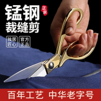裁縫剪刀專用手工裁布大剪刀專業服裝皮革剪子家用小號8寸9寸10寸