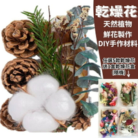 【A-ONE】綜合乾果盒D 棉花 針葉 松果 毬果 乾燥花盒 拍攝道具 永生花 香薰乾燥花材 B13