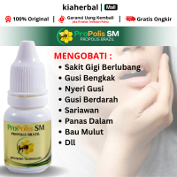 Obat Sakit Gigi Berlubang Gusi Bengkak Bernanah Polip Gigi Penyegar Mulut Atasi Bau Mulut ProPolis S