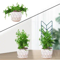 Trellis For Climbing Plants Indoor Small Houseplant Metal Wire Trellis 12Inch Garden Trellis For Climbing Plants Metal Potted