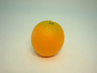 《食物模型》柳丁(大) 水果模型 - B1020