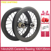 254SD11-WS 14inch 254 Carbon Wheelset SEMA Disc Brake 11Speed JAVA X1 Bicycle Wheel Folding Bike 100/135mm Custom Light Weight