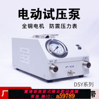 【台灣公司 可打統編】打壓泵手提式手動電動試壓泵PPR水管打壓機測壓機地暖泵測漏水用