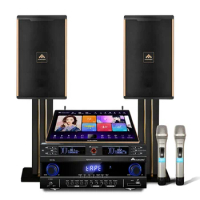 Multi-languages Sing Karaoke System with Mic Amplifier and Speakers Powerful Karaoke Players KTV Karaoke Machine Set