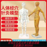 {臺灣公司貨 可打統編}中醫針灸穴位人體模型超清晰十二經絡小皮人人體針灸模型男女模型