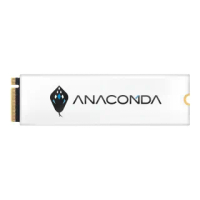 【ANACOMDA 巨蟒】i3 256G PCIe Gen3x4 NVMe SSD固態硬碟