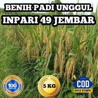 BENIH BIBIT PADI UNGGUL INPARI 49 JEMBAR BERKUALITAS ORIGINAL KEMASAN 5KG