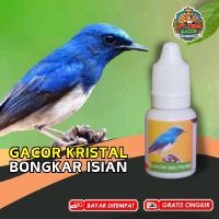 Vitamin Burung Tledekan Laut