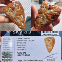NATURAL JADEITE JADE GIOK BURMA NAGA + MEMO SKY25
