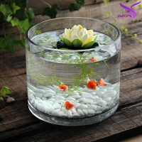 加厚圓形烏龜缸圓筒魚缸水培植物容器花瓶超白玻璃金魚缸一次成型1入