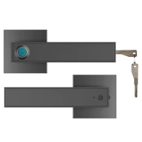 Electronic Smart Lock Digital Door Lock Smart Door Lock Semiconductor Biometric Fingerprint Door Security Lock with Key