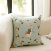 【PETER RABBIT】比得兔與V&A博物館 豐盛季節-時尚抱枕(50x50cm/正版授權/大抱枕)