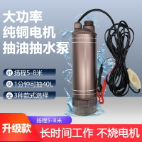 抽油泵 大功率抽柴油泵 水泵 12V24V220伏抽油神器加油機電動油抽子小型