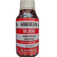 Giberelin murni kemasan 500 ml Cair