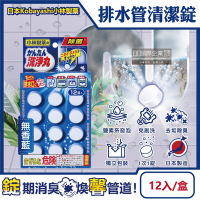 日本Kobayashi小林製藥-洗淨丸排水管道免刷洗除垢淨味清潔錠12入/盒(浴室排水口去污除臭,U型水管芳香,馬桶除尿漬)
