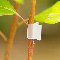 White Horticultural Grafting Clip 2-5mm Round Tube Stake Garden Retaining Clip Greenhouse Frame Pipe Gardening Supplies