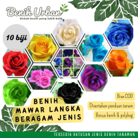 (10 Butir) Benih Bunga Mawar Beragam Warna