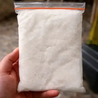 Kelapa Kopyor Frozen Asli 250 Gram