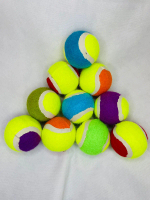 Mainan Anjing Dog Toy Bola Anjing Bola Kasti Paw Mainan Karet Gigitan Anjing Warna Warni