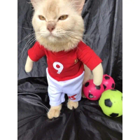 Baju Kucing/Anjing Kostum Karakter Bola