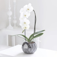 ANGGREK OMBAK / CATTLEYA ARTIFICIAL FLOWER / BUNGA ANGGREK BULAN 3D / BUNGA ANGGREK SUTRA 9 KUNTUM /