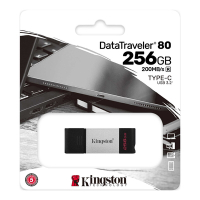 Kingston 金士頓 256GB DataTraveler 80 Type-C USB3.2 隨身碟 DT80/256GB