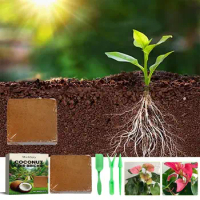 High Quality Natural Organic Coconut Shell Animal And Plant Feeding Fiber Peat Soilless Potting Soil Garden Coconut Shell Bricks